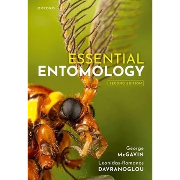 語学+参考書 The Insects: Structure and Function Amazon.com: The Insects: Structure and Function
